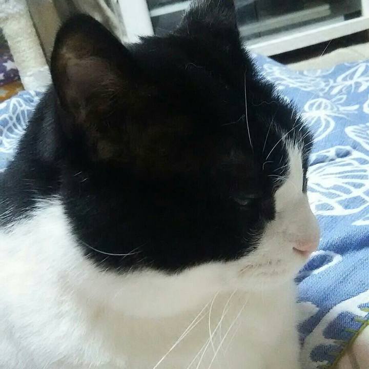 Bee642fc 4658 4e6d 8bb8 c8ff2097ff93