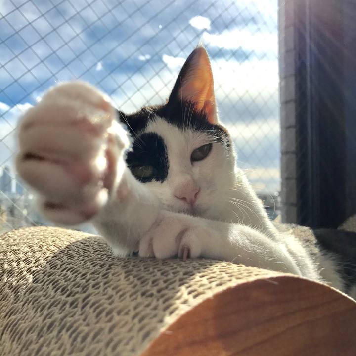 Bee72e1c a0d7 48dd 9293 7fe296643f6b