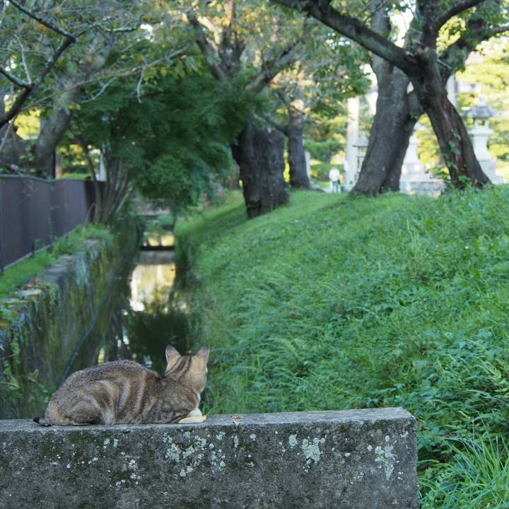 Bee774d8 348c 4cd6 b5f4 f53211a8d186