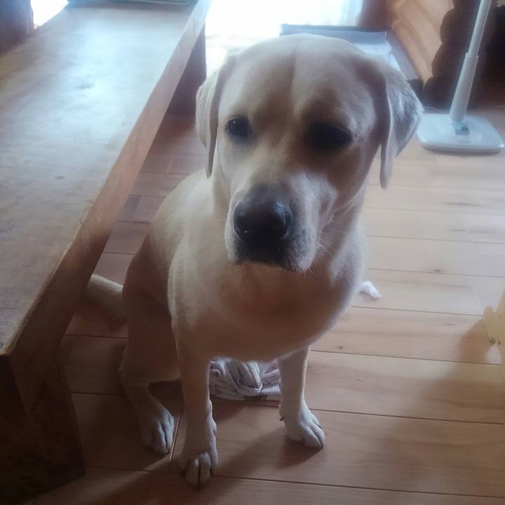 Bee7d662 14b3 483a bb33 a86ce14ba8df