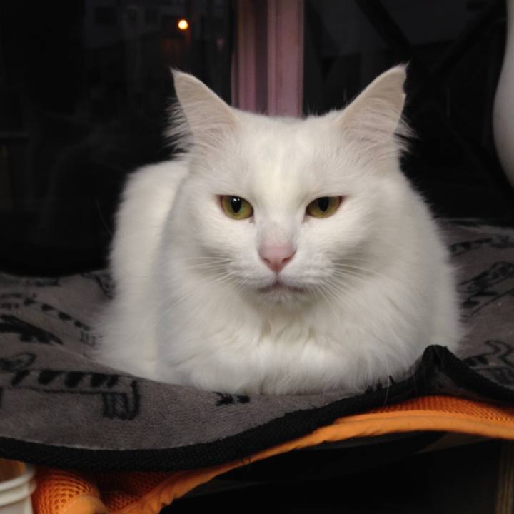 Bee8244e 2d16 4d5a b495 9f007eb9b9a9