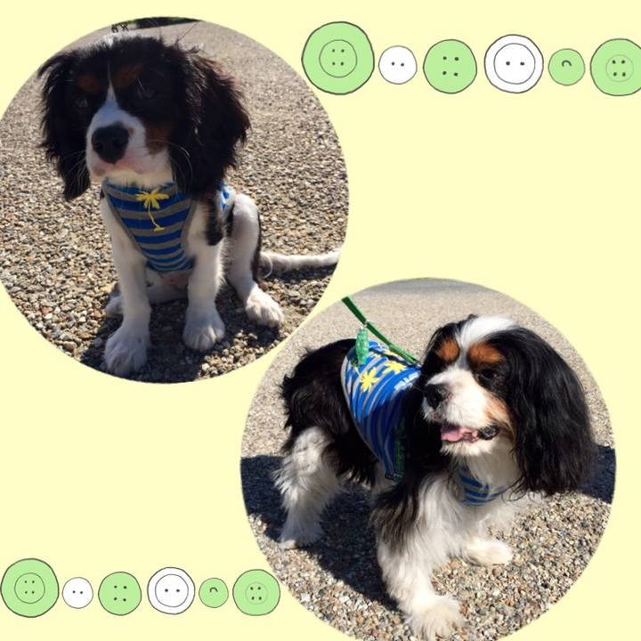 Bee8490d 81e9 4e76 9d55 d8d90d5a6661