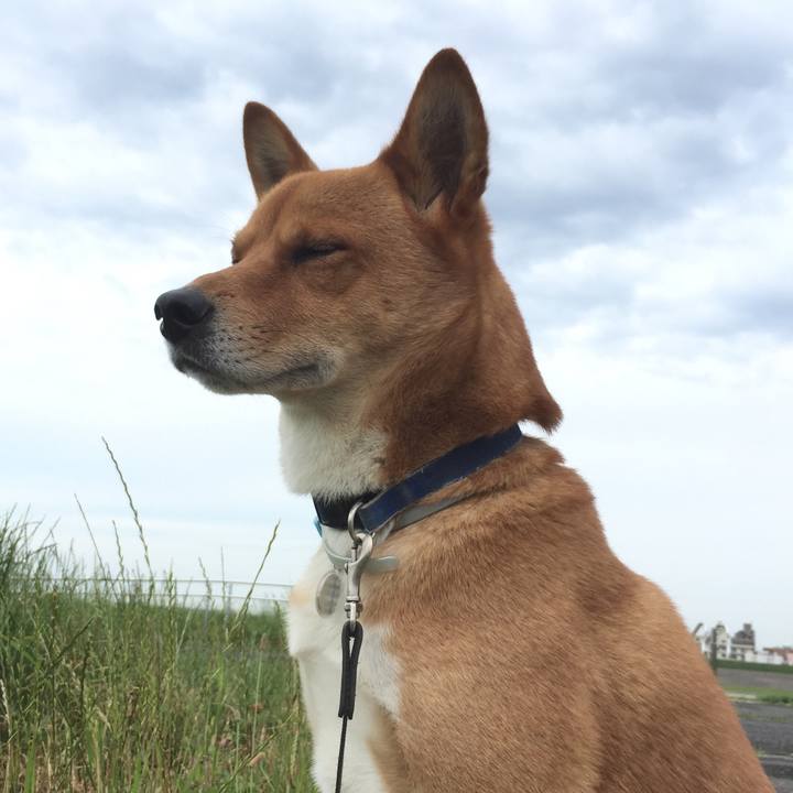 Bee85855 97f1 4594 b262 103cf76119ba