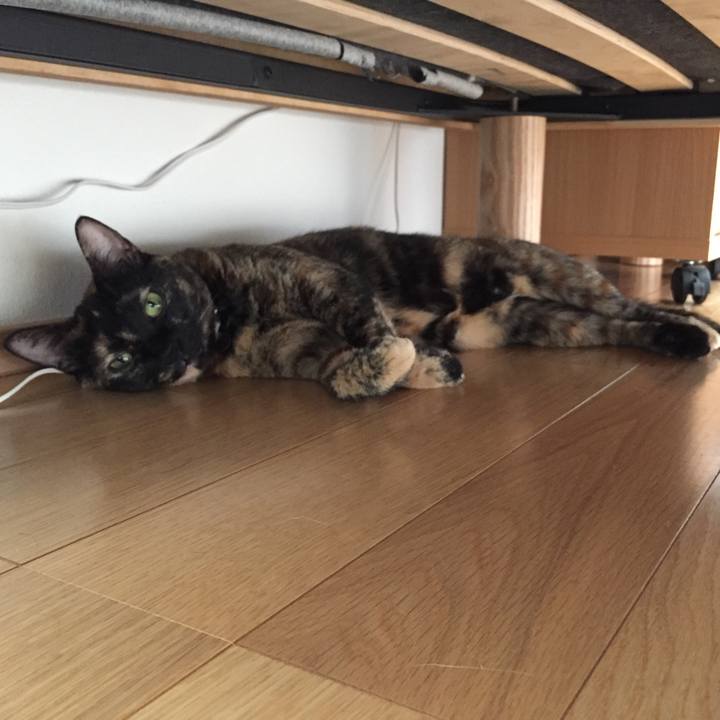 Bee8716b 41a2 4213 90aa 68d2daa94a0f