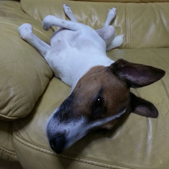 Bee88321 14cc 4107 9f80 16d3ba249bac