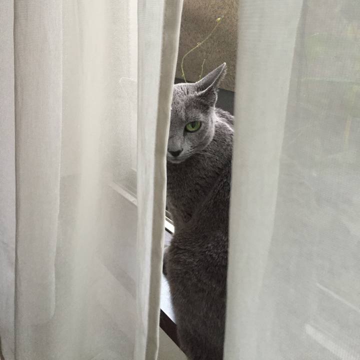 Bee8d1f1 1008 49d0 ad64 c2f4b5642766