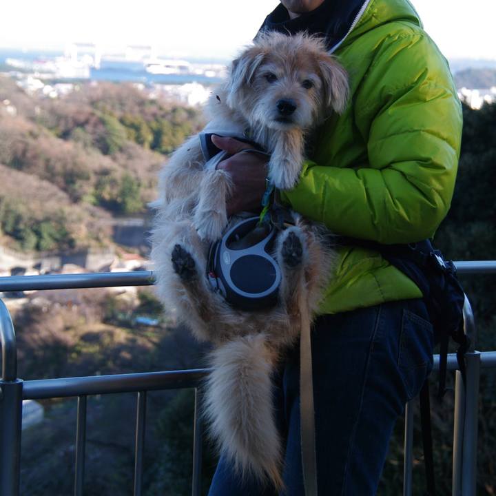 Bee8e642 b7c5 4bcd b7a4 acb0f16a25b1