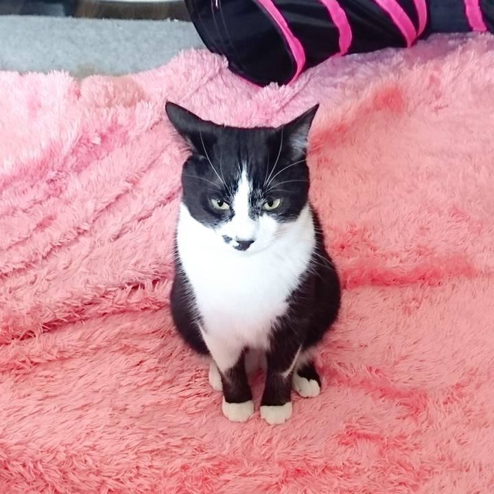 Bee92e76 6f81 4628 bd1c f105ebb4cf9c