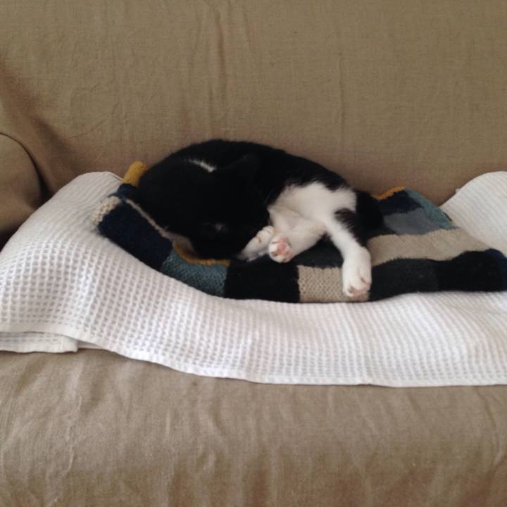 Beeb0b38 64dd 4d8e 9edb dc73a79fe0d6