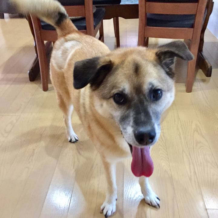 Beebf0ba 9940 4610 92ef 3a69cbceeeca