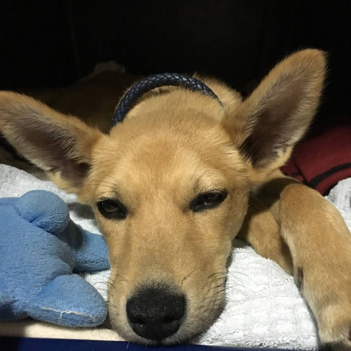 Beebf1bd 6412 4fc9 ba29 29075ec2044f