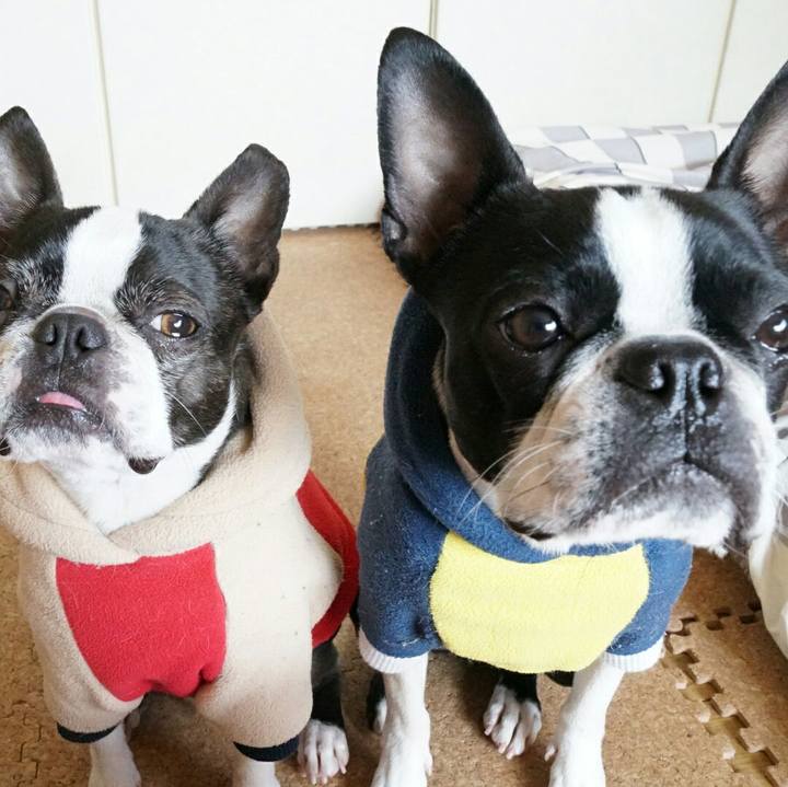 Beec063f 544b 4e30 ab67 feba7dcd8924