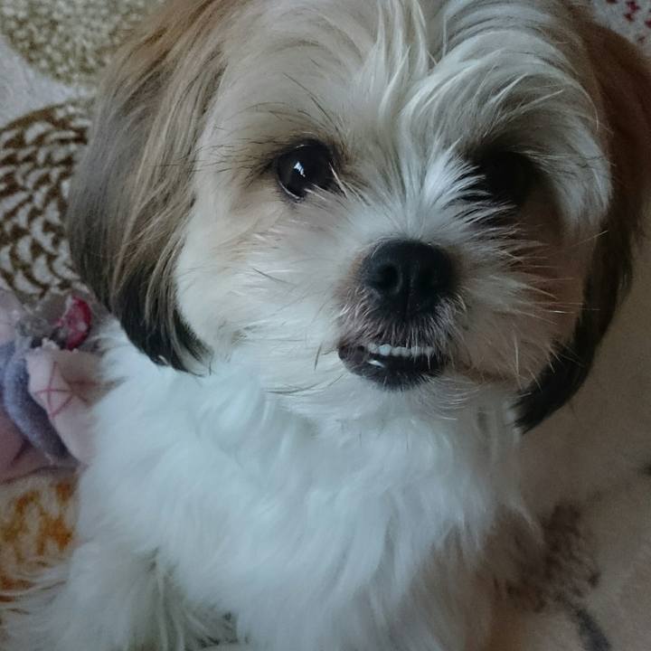 Beeca3b8 3ce5 486c a9e0 2a1f8644ea1b