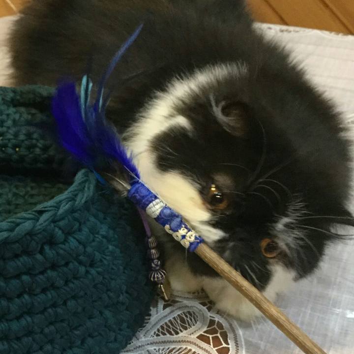 Beecbb63 9547 4ed1 b857 ff21fba03cf0