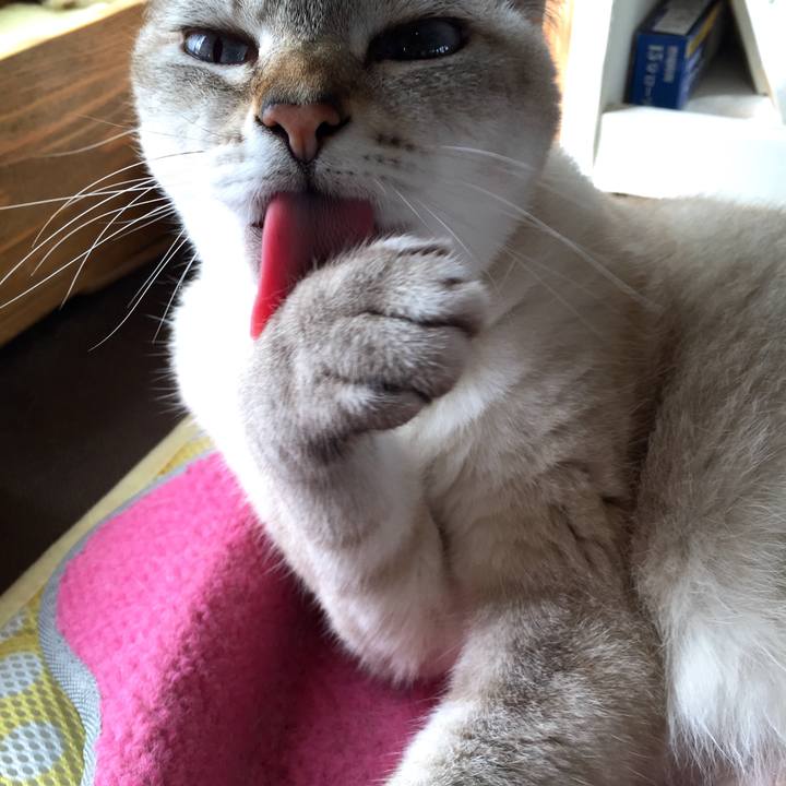 Beed29b0 2d6e 4dc9 b206 9a0cd079301d