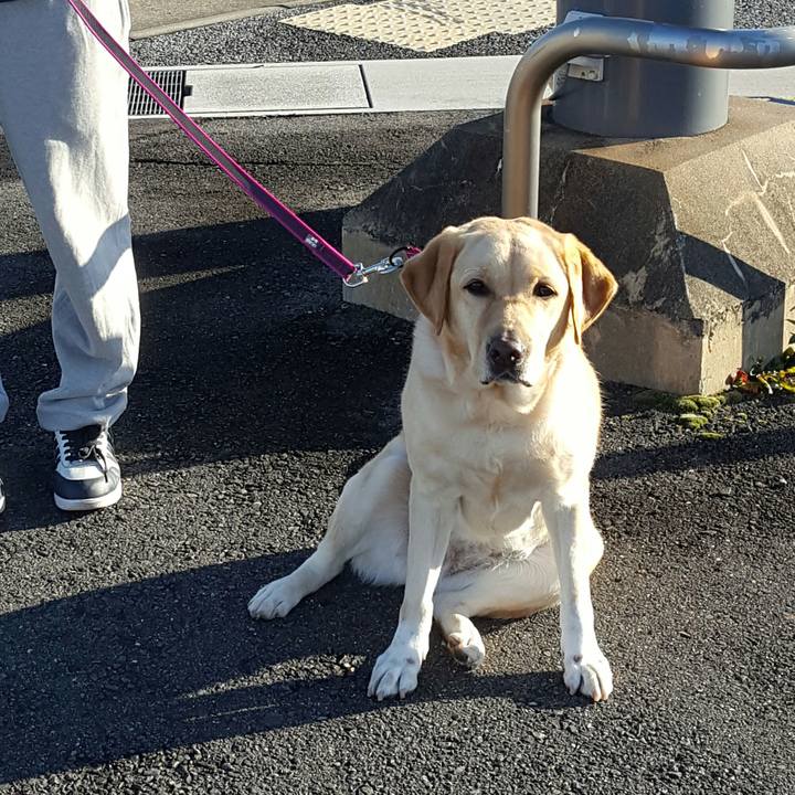 Beedad03 be38 45fa a7e3 e7238210cd7b