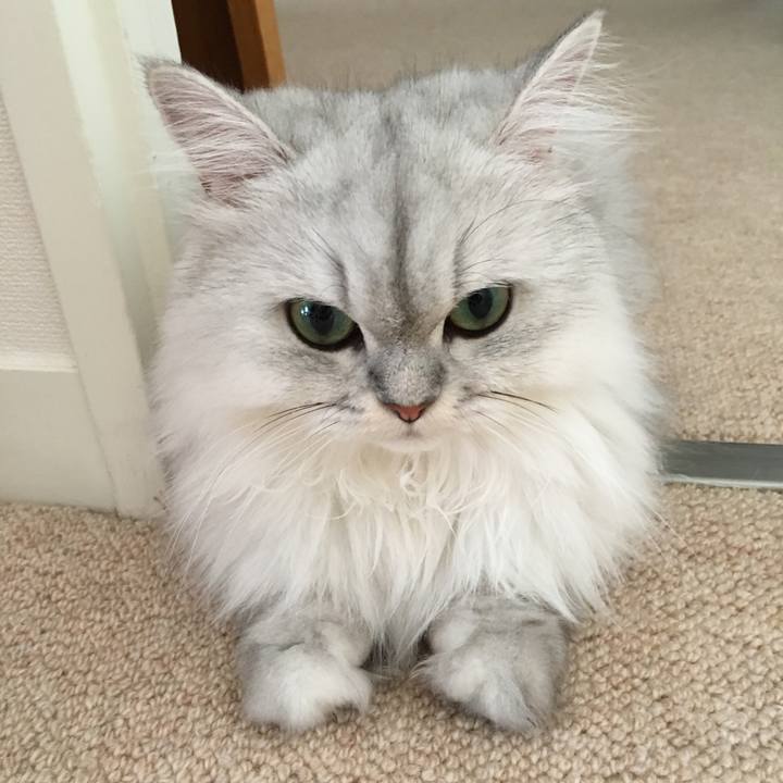 Beee8ca3 71a9 4ce9 9229 051a1a85ad7b