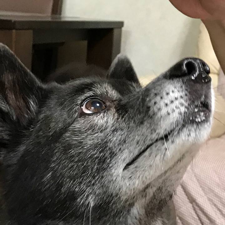 Beeed9d5 dac3 49cc a3cc e2aac4b418c5