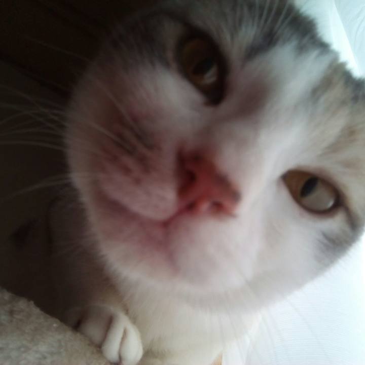 Beefa927 ccf5 4b4b aa01 acb7fa7028fb