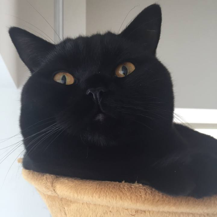 Bef02a3e f1b8 4b9f ba6e 0df0b21a84de