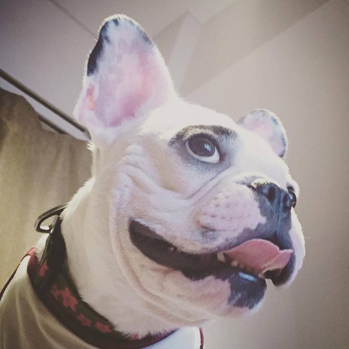 Bef02f93 e57c 46e9 85ed 7f3f21d72877