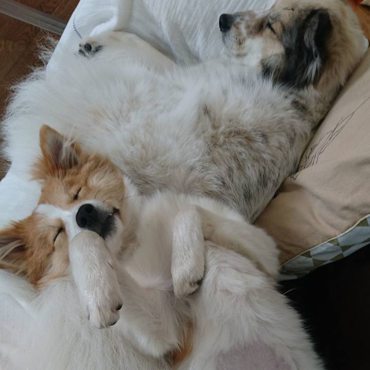 Bef07edc 2a6f 4e0e 8ba7 80787d004ac3