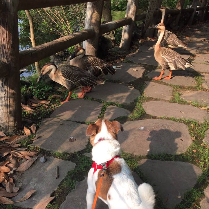 Bef137e9 9137 4235 8d71 30bc7cd9b12f