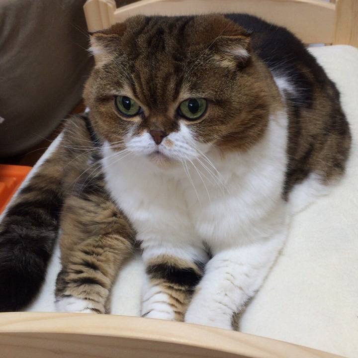 Bef2f91f eed7 46db b525 f7cb27f81e93