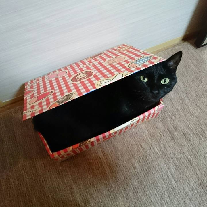 Bef3bcf3 9707 4f52 9044 a0583fae73b1