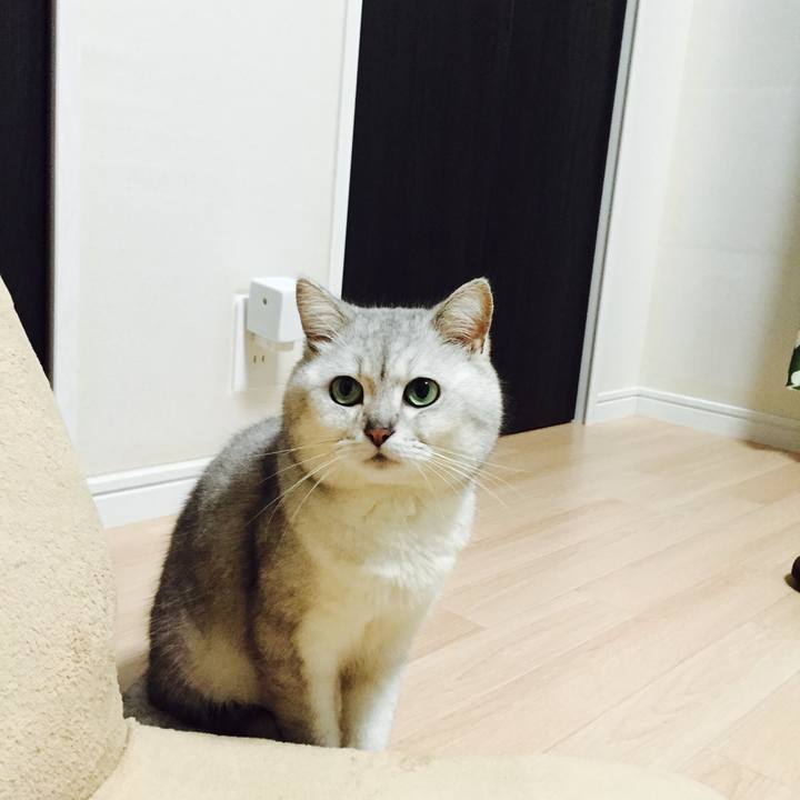 Bef4d885 794b 41c4 87b0 9fe216bf9db6