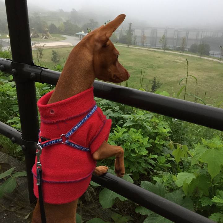 Bef5a84f 0a38 408f 8af8 ccfb1cde1e3e