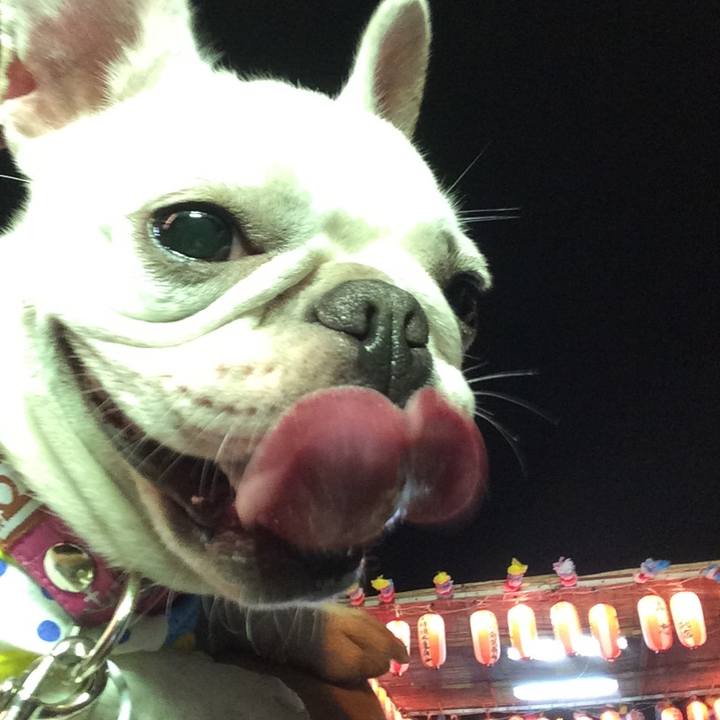 Bef6010a d820 4b69 a3ed a6a7888bf9a4