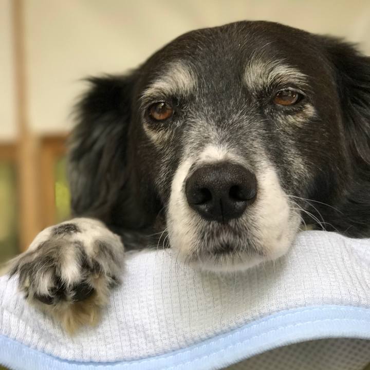 Bef676b4 874d 4395 9276 6eb3ecba4e7b