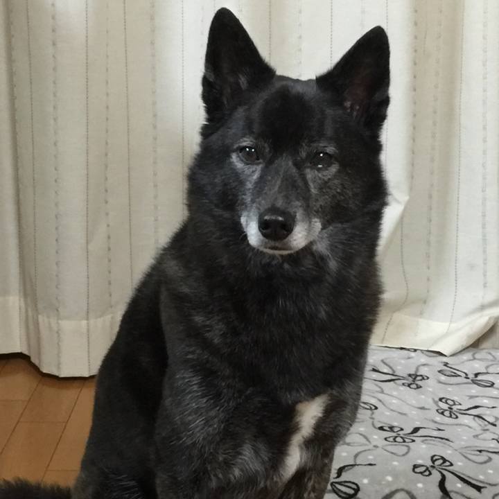 Bef6df98 7861 497a b1fb f8e5d22f2b5e