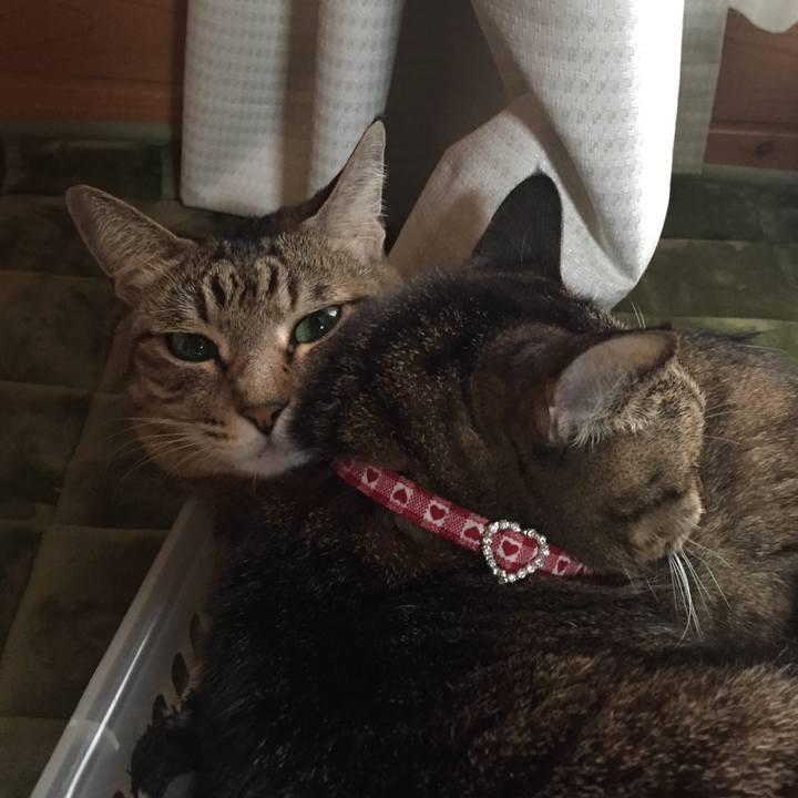 Bef6ed95 9f6a 45b7 af38 673378b6d5d4