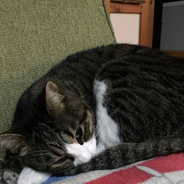 Bef77f11 5456 4194 b3b6 b0e431714161