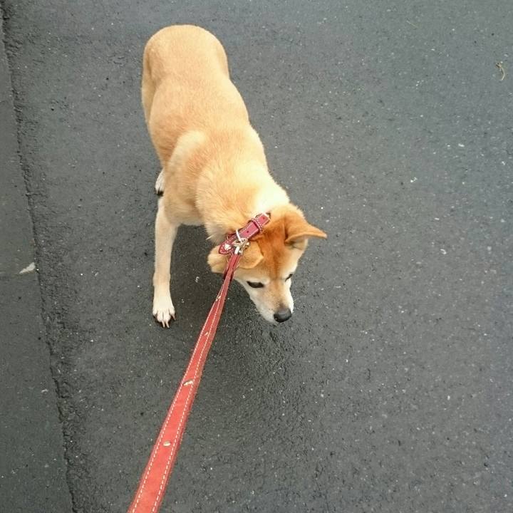 Bef78c04 c899 49ec ae45 93e0bd8013f8