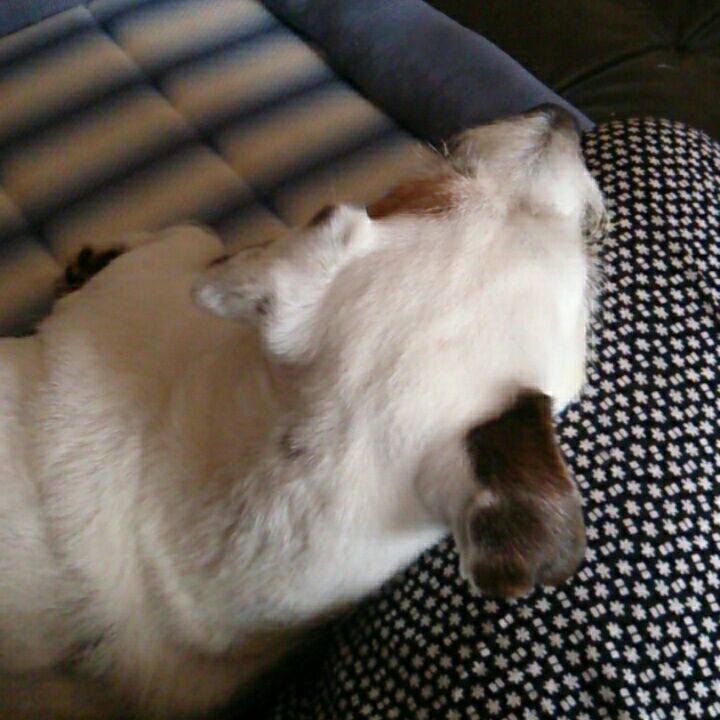 Bef7c61e d9e1 4ead b5ce c73b20e6ab6f