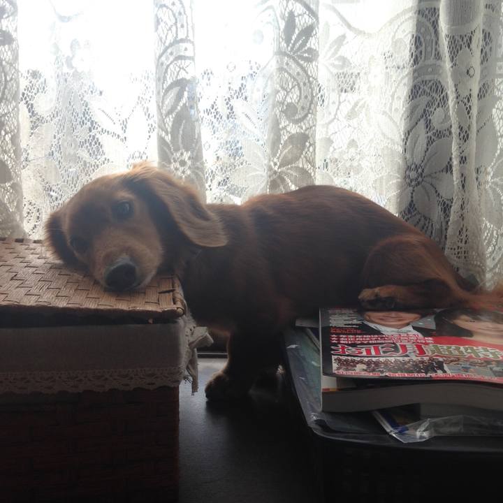 Bef7e62f 7762 4b6f b3df e1bc1ce004bb