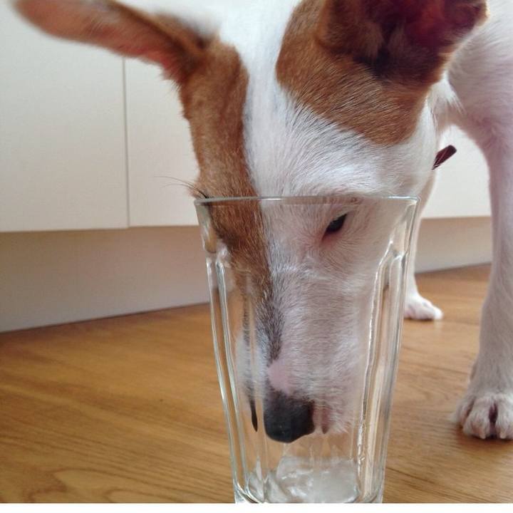 Bef7e6fc bb81 48e0 969e a2c16e054f41