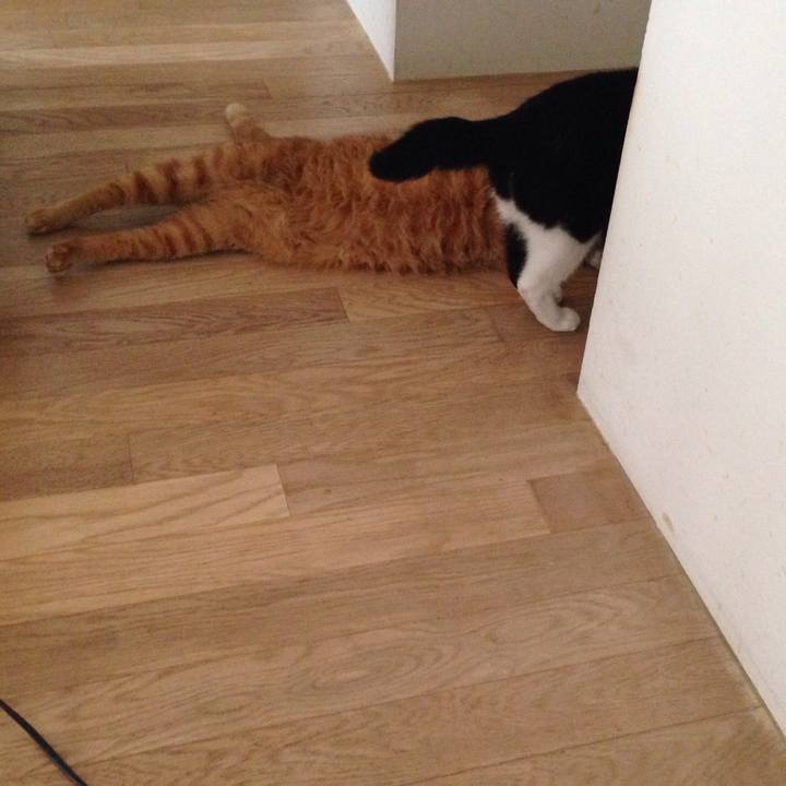 Bef8a153 2897 4578 bd72 26a8357d9393