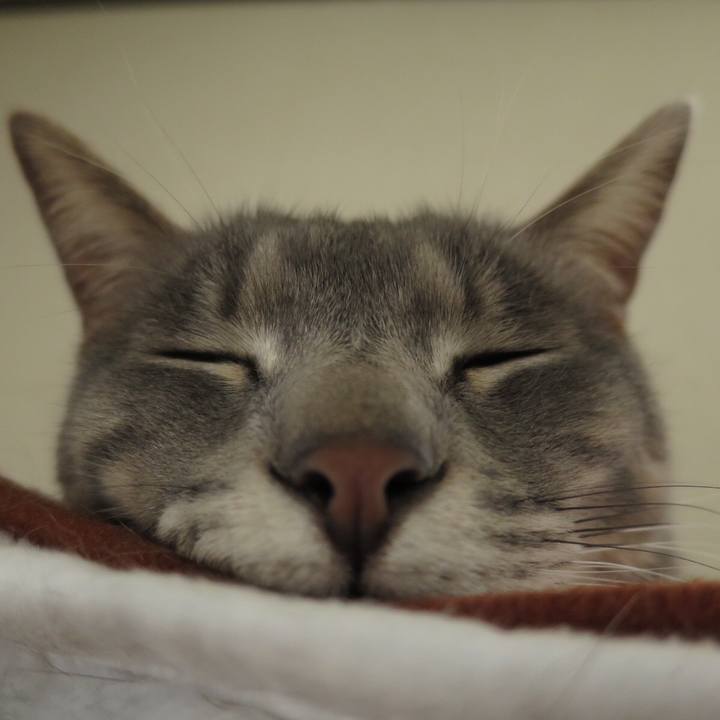 Bef91c19 47f5 4732 9bd8 e06be2c5e009