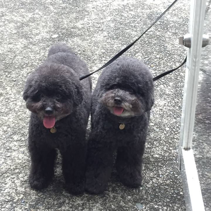 Bef947a9 5d67 418f 8c52 ad127f00745f