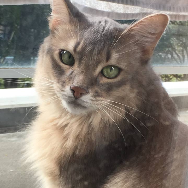 Bef9dab0 30fb 45f7 ab67 0666355432a3