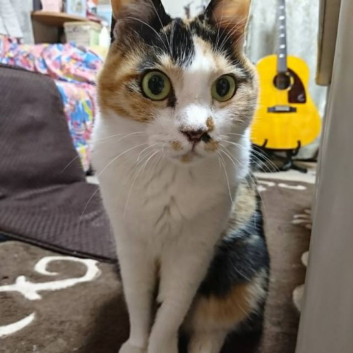 Befa2e2b 8c91 4fab 8e8a 0515991d235b