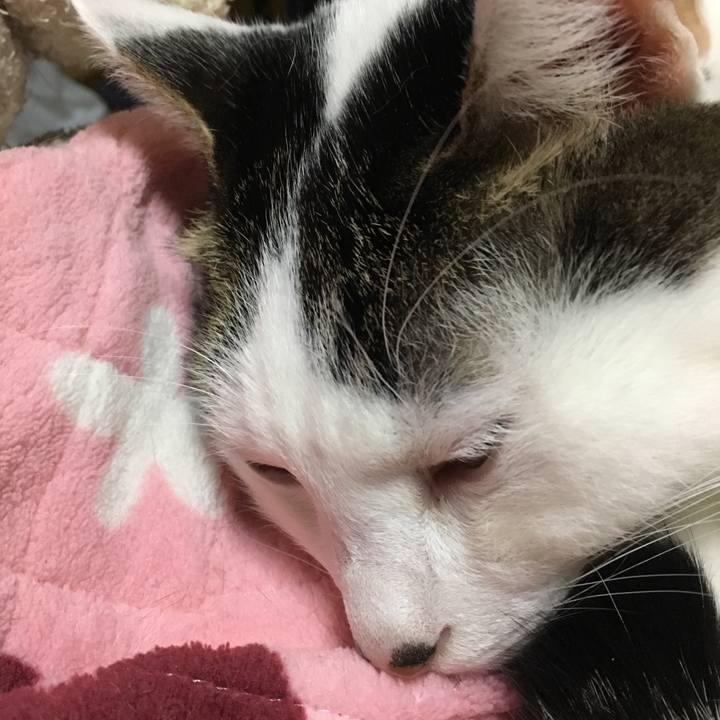 Befa9cde 4486 49e8 b28d b67eafefacd4