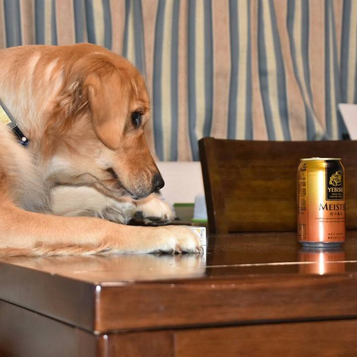 Befac3be fbde 4fda 9505 994409460d42