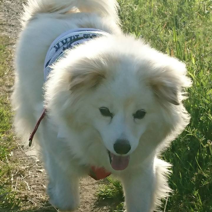 Befb3420 784e 4508 8ac0 cb3034cc3318