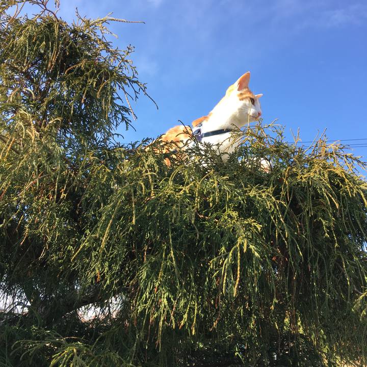 Befc5e57 3348 471c ab3a 92bb78123c88