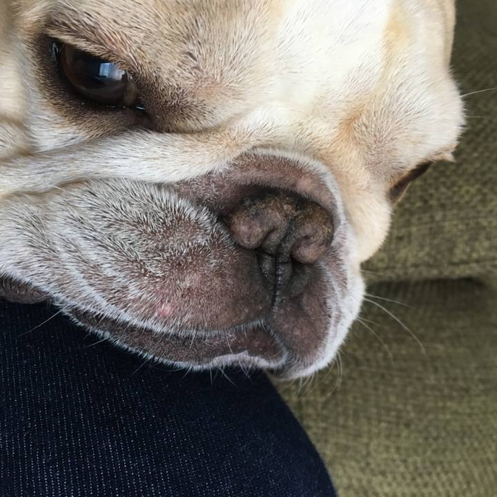 Befc7f34 e333 4054 b9a9 9bd1b5342749